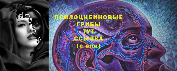 эйфоретик Надым