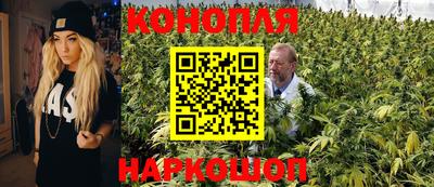 бошки Дубна