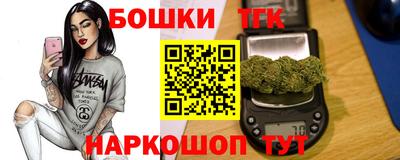 гашик Бийск