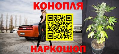 бошки Дубна