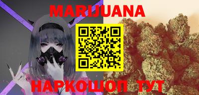 гашик Бийск