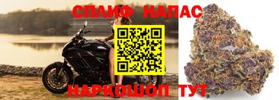 гашик Бийск