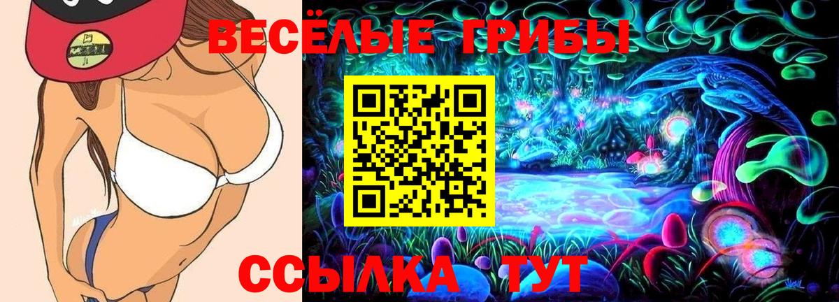 Калач-на-Дону  Псилоцибиновые грибы Psilocybe  Вход с VPN 